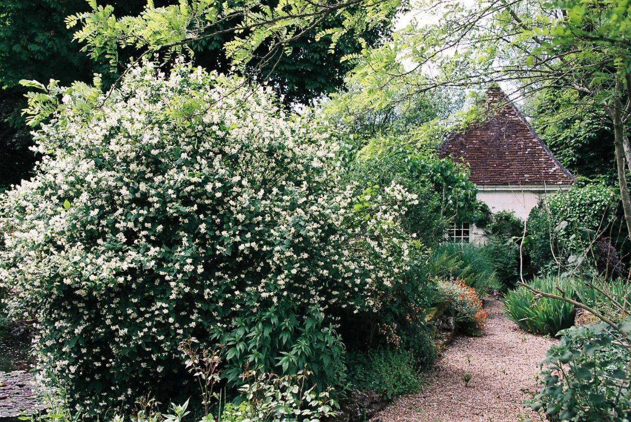 Bed and Breakfast Le Pavillon De Vallet Athée-sur-Cher Exterior foto